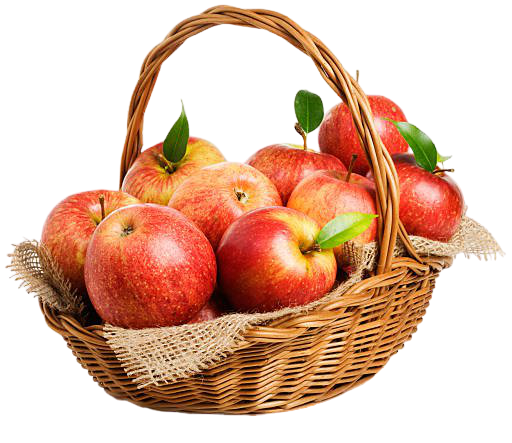 Best Basket Of Apples