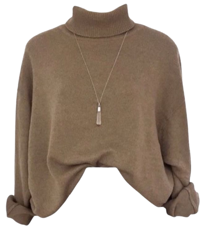 brown turtleneck sweater png