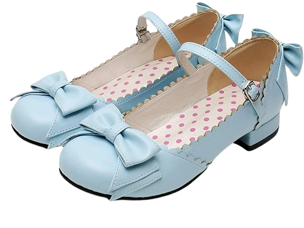 Amazon.com | Japanese Sweet Lolita Block Low Heel Round Toe Mary Jane Shoes | Shoes