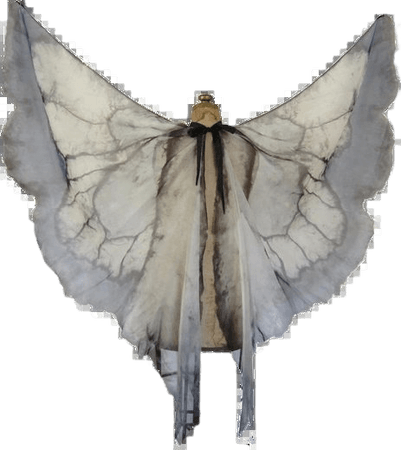 moth wings cloak