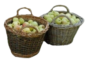 baskets with apples