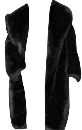 fur black coat