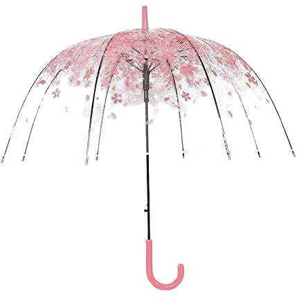Umbrella Cherry Blossom Tree