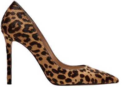 EVELYN Leopard Point Toe Pump | Women's Heels – Steve Madden