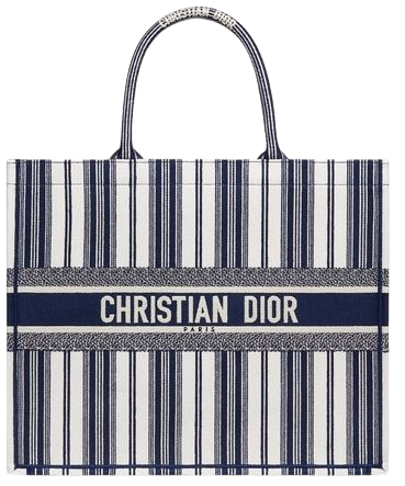 Dioriviera Dior Book Tote Bag Blue Multicolor Stripe Embroidery