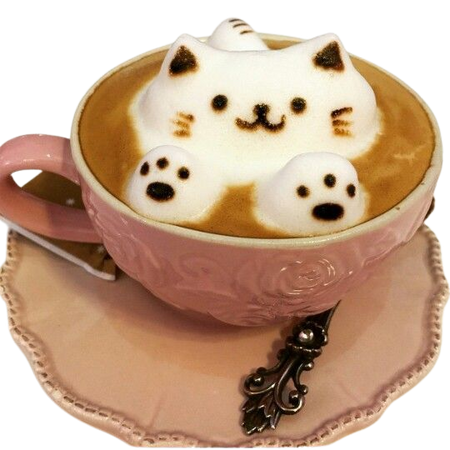 cat cafe coffee