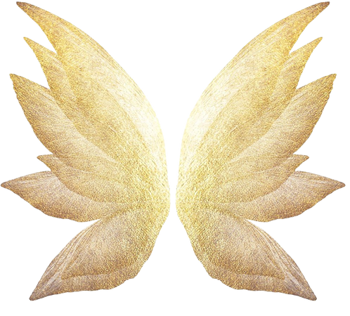 gold fairy wings