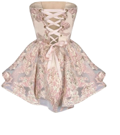 Floral Corset Dress - Pink
