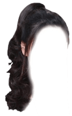 Dark Brown Hair BLACK PONYTAIL PNG
