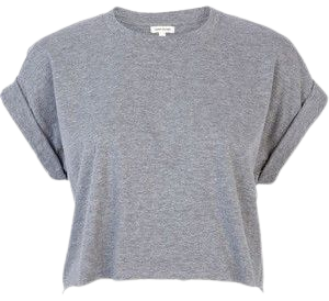 River Island Grey short sleeve boxy cropped t-shirt