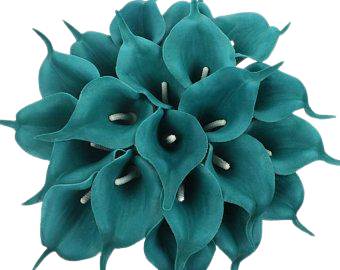 teal flower - Google Search