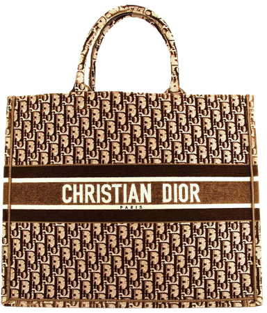 Christian Dior Sac à Main Oblique Book pre-owned (2020) - Farfetch