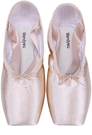 Professional Ballet Slipper Dance Shoe Pink Ballet