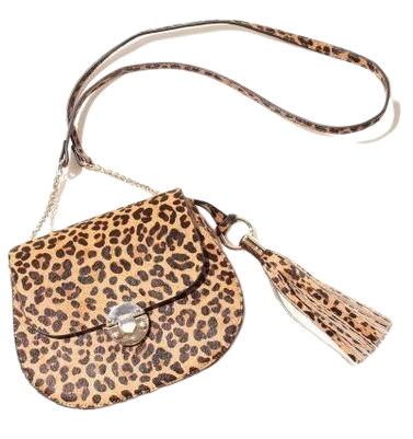 Leopard Print Bag