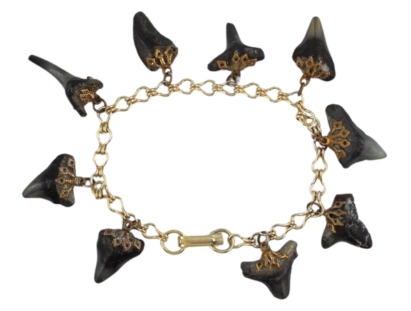 1960s Vintage Fossil Shark Teeth Charms Gold Tone Bracelet | Etsy