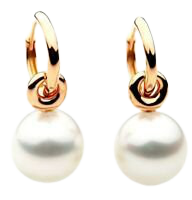 Pacific Pearls® 11MM Tahitian Black Pearl Earrings W Gold Gifts For Wife $2,699 | eBay