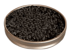 caviar png - Google Search