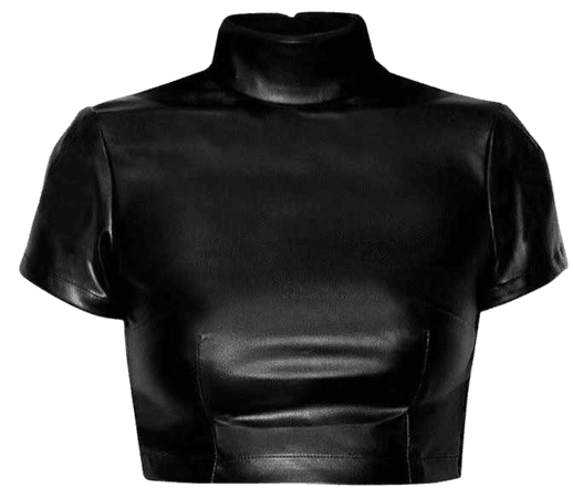 Black Leather Crop Turtleneck Top
