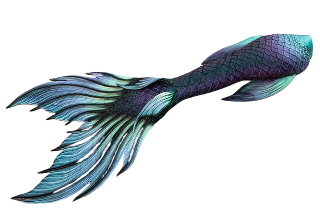 dark blue mermaid tail.