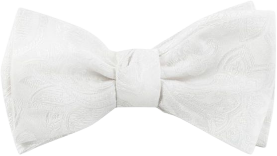 Organic Paisley White Bow Tie | Men's Bow Ties | The Tie Bar