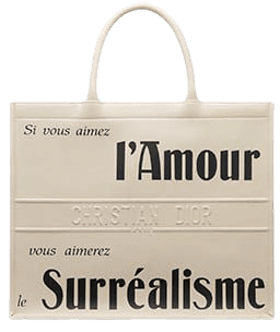 Dior Book tote bag in printed calfskin