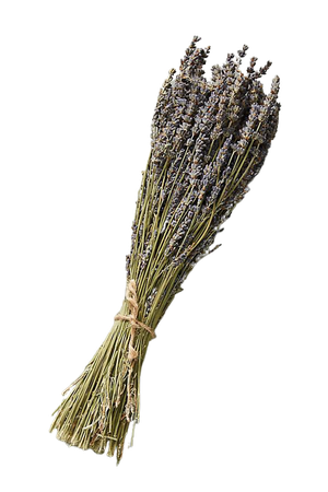 Dried Lavender Bouquet | Anthropologie