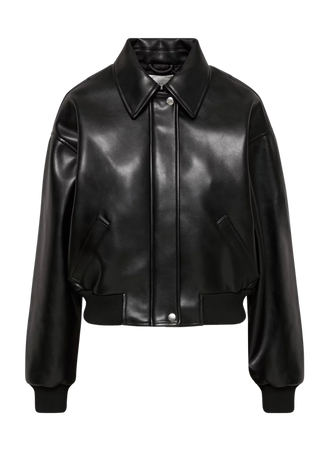 Aritzia Cropped Leather Bomber Jacket