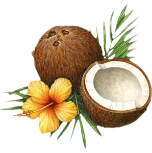 coconut 🥥