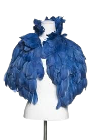 cape feather blue - Pesquisa Google