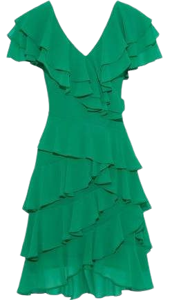 Ruffled Georgette Dress