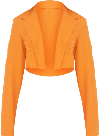 Orange Basic Seam Detail Woven Cropped Blazer | PrettyLittleThing USA