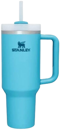 Amazon.com | Stanley 40 oz. Quencher H2.0 FlowState Tumbler - POOL: Tumblers & Water Glasses