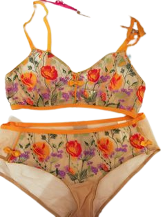 Orange poppies floral embroidered bra and panties lingerie set | Pinterest