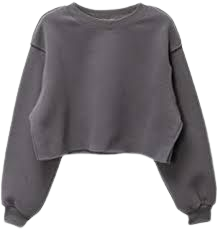 dark gray crop sweatshirt