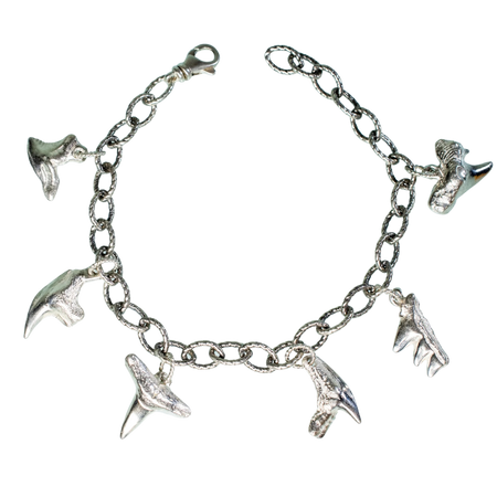 shark tooth silver sterling charm bracelet jewelry