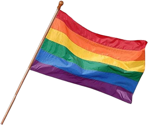 Amazon.com : Gay Rainbow Sisters 18"x12" Rainbow Pride Flag : Garden & Outdoor
