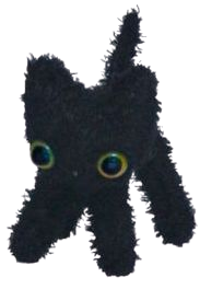 crusty black cat
