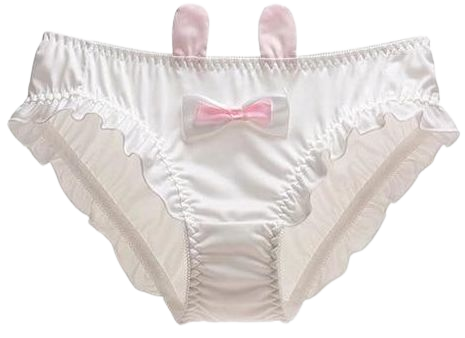 Baby Bunny Ear Panties Satin Underwear Petplay | DDLG Playground