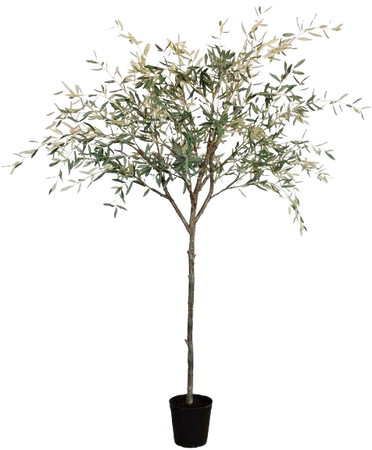 Mediterranean Faux Olive Tree – McGee & Co.