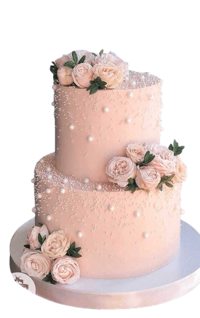 Beautiful Two Tier Pink Wedding Cake with pearl details