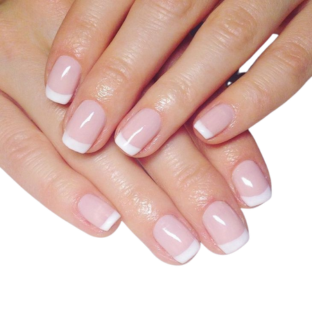 French manicure nails