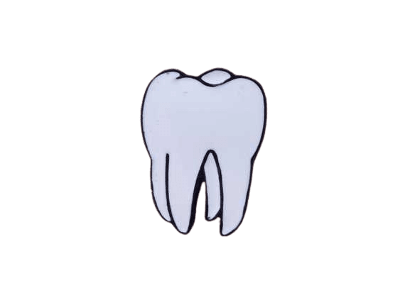 Tooth Teeth Weird Science Anatomy Anatomical Biology Body
