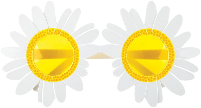SunnyLife New Daisy Flower Sunglasses White Yellow Boutique $25.00 (2)
