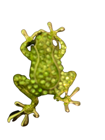 bejeweled 🐸 frog