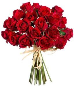 Bouquet Of Roses PNG HD Transparent Bouquet Of Roses HD.PNG Images. | PlusPNG