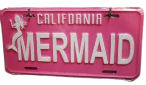 coconut girl aesthetic license plate - Google Search