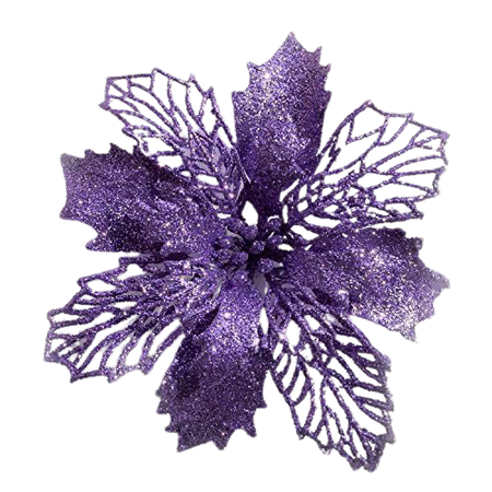 Purple Poinsettia