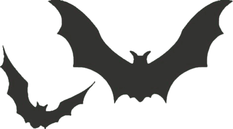cartoon bats - Google Search