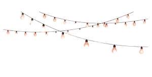 string lights png - Google Search