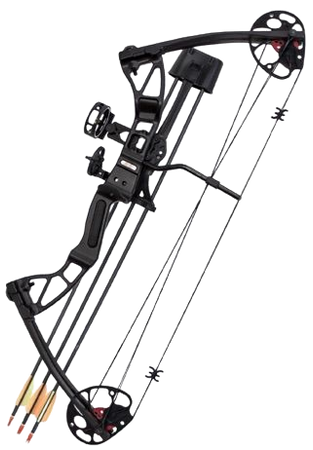 Southland Archery Supply SAS 25-55 Lb 20-29'' Adjustable Quad Limb Compound Bow Package with 3-pin Sight, Arrow Rest, Quiver and Arrows